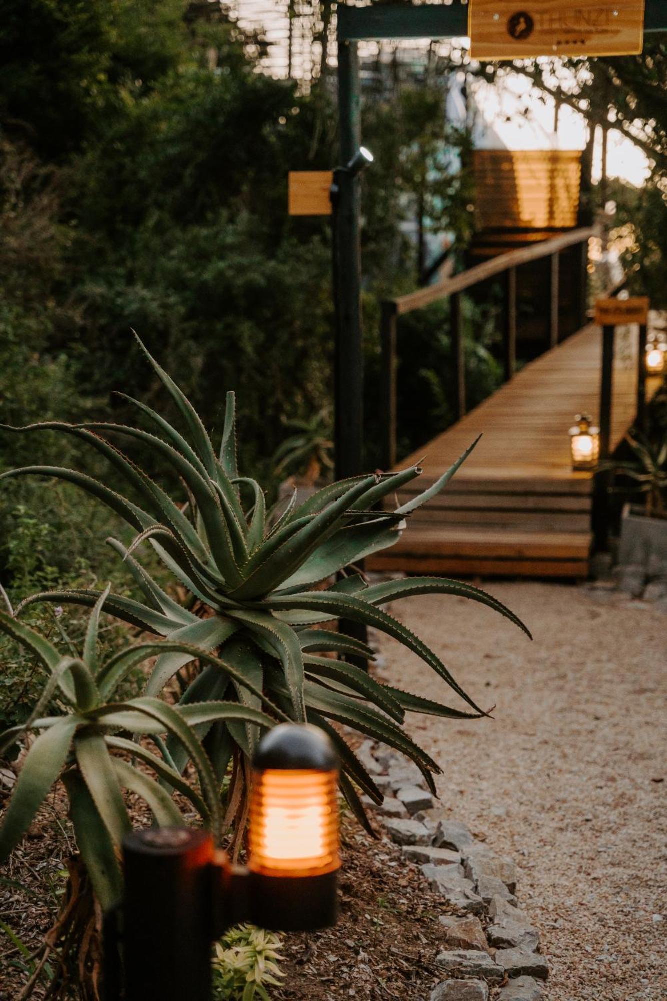 Thunzi Bush alojamiento Beachview Exterior foto
