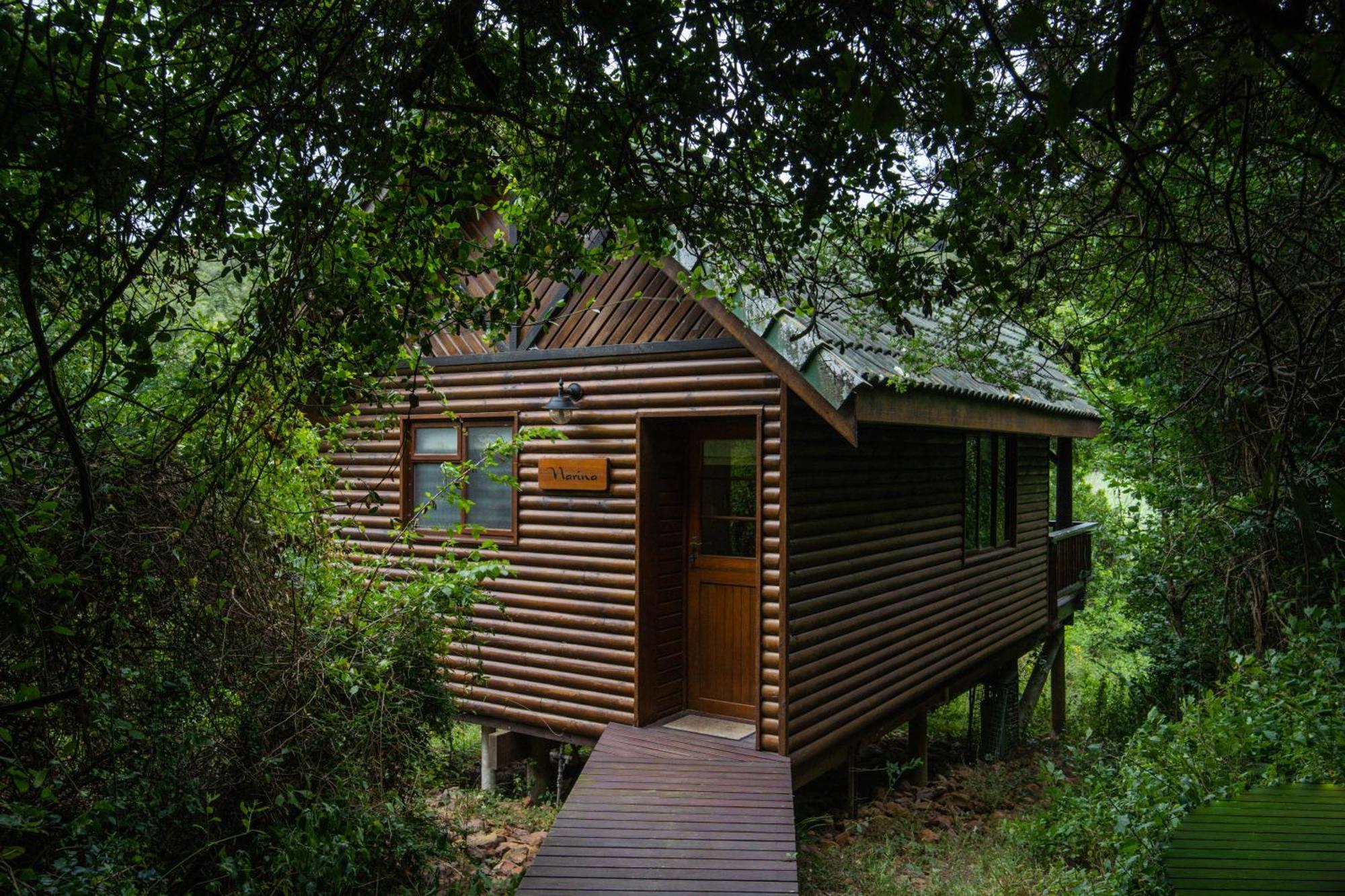 Thunzi Bush alojamiento Beachview Exterior foto